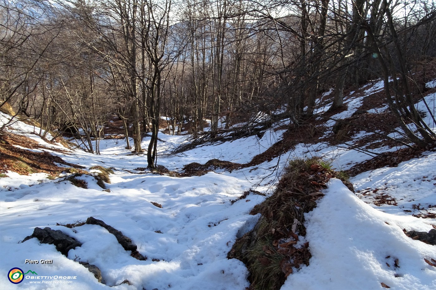 40 Un po' di neve ci sta bene.JPG